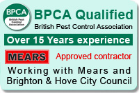 British Pest Control Association BPCA Mears Brighton