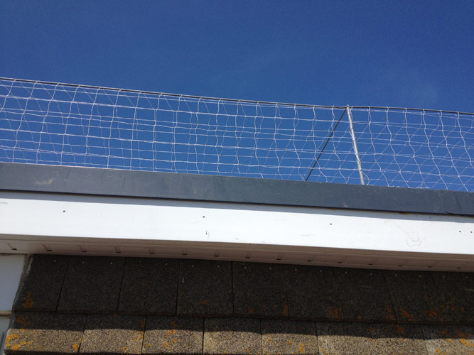 Dormer Roof Systems Seagull netting on Dormer Bird proofing dormers in Sussex