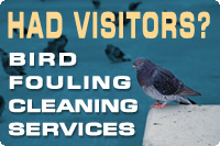 Bird Fouling Cleaning Service Brighton Sussex